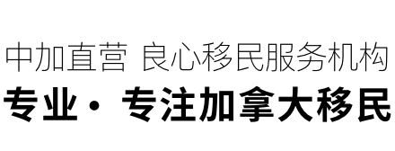 logo-text