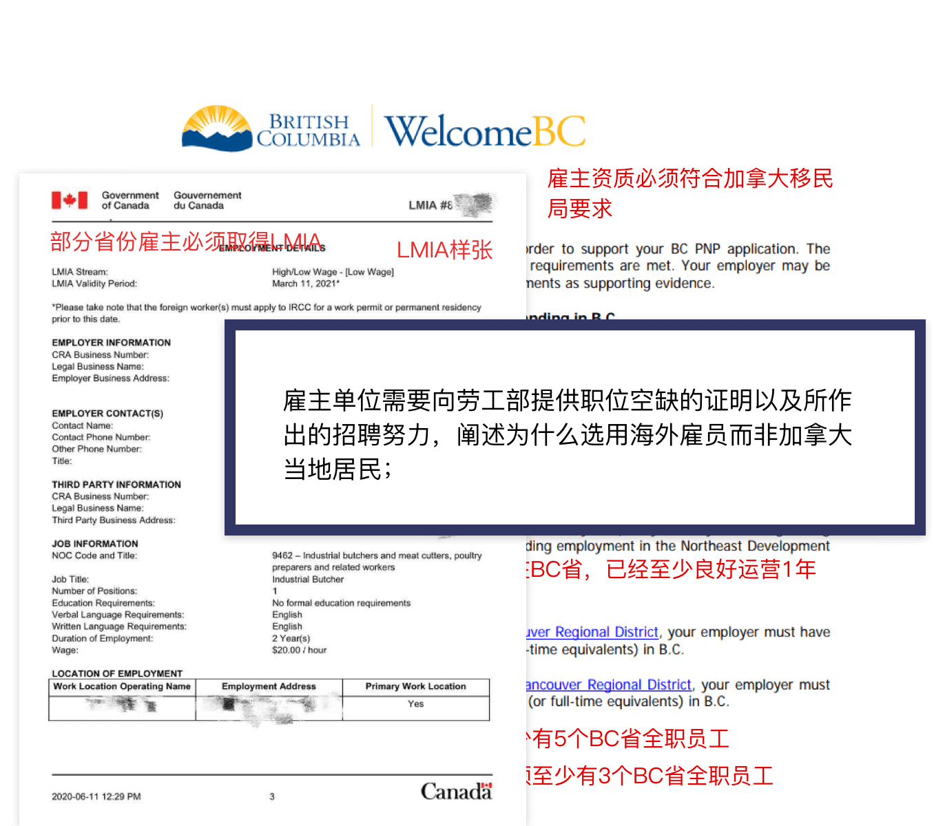 申请雇主担保，为什么要选凯鹏咨询服务机构？